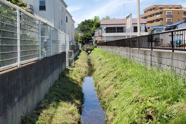 ヤマモモ公園