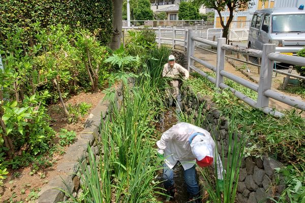 最近の活動写真