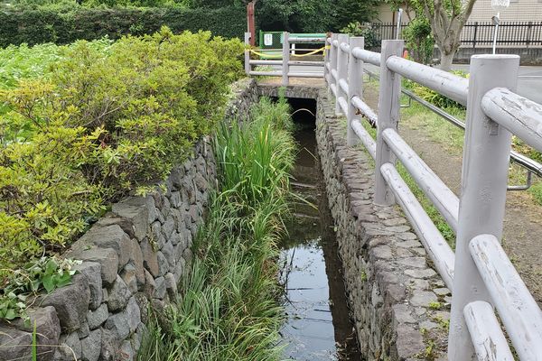 並木公民館