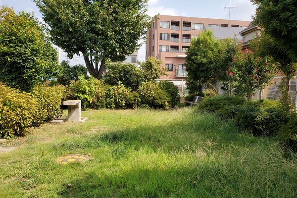 ヤマモモ公園