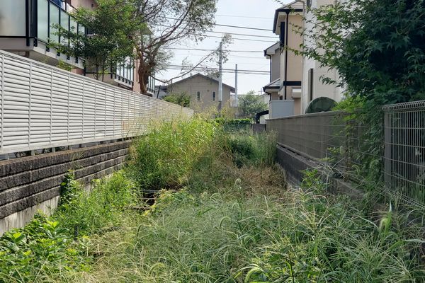 ヤマモモ公園