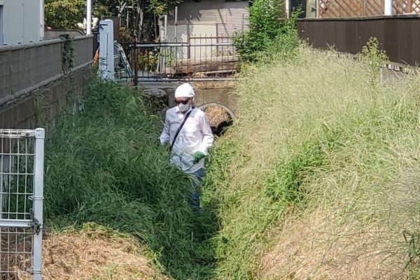 ヤマモモ公園