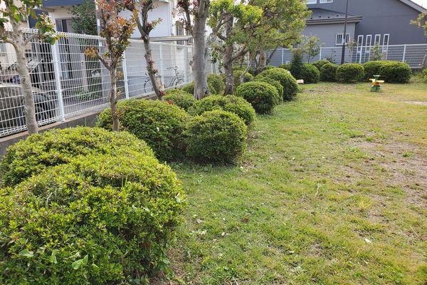 最近の活動写真