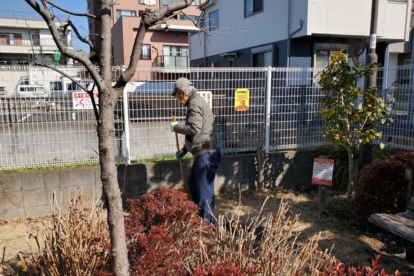 最近の活動写真