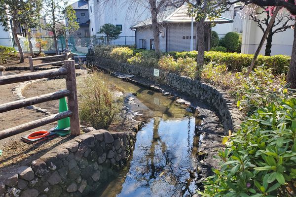 最近の活動写真