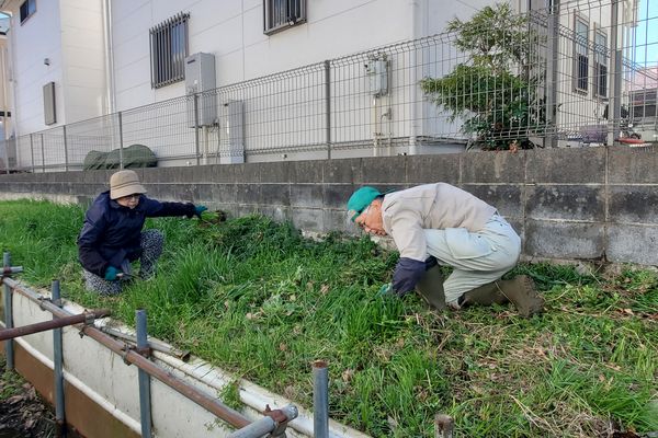 最近の活動写真